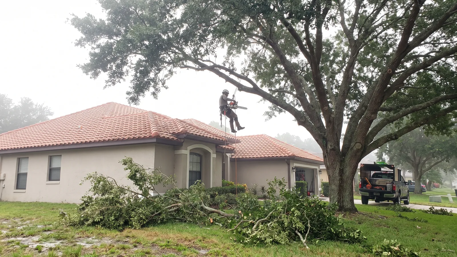 Arborist thinning and raising an oak canopy over a roofline ahead of hurricane season in central Florida